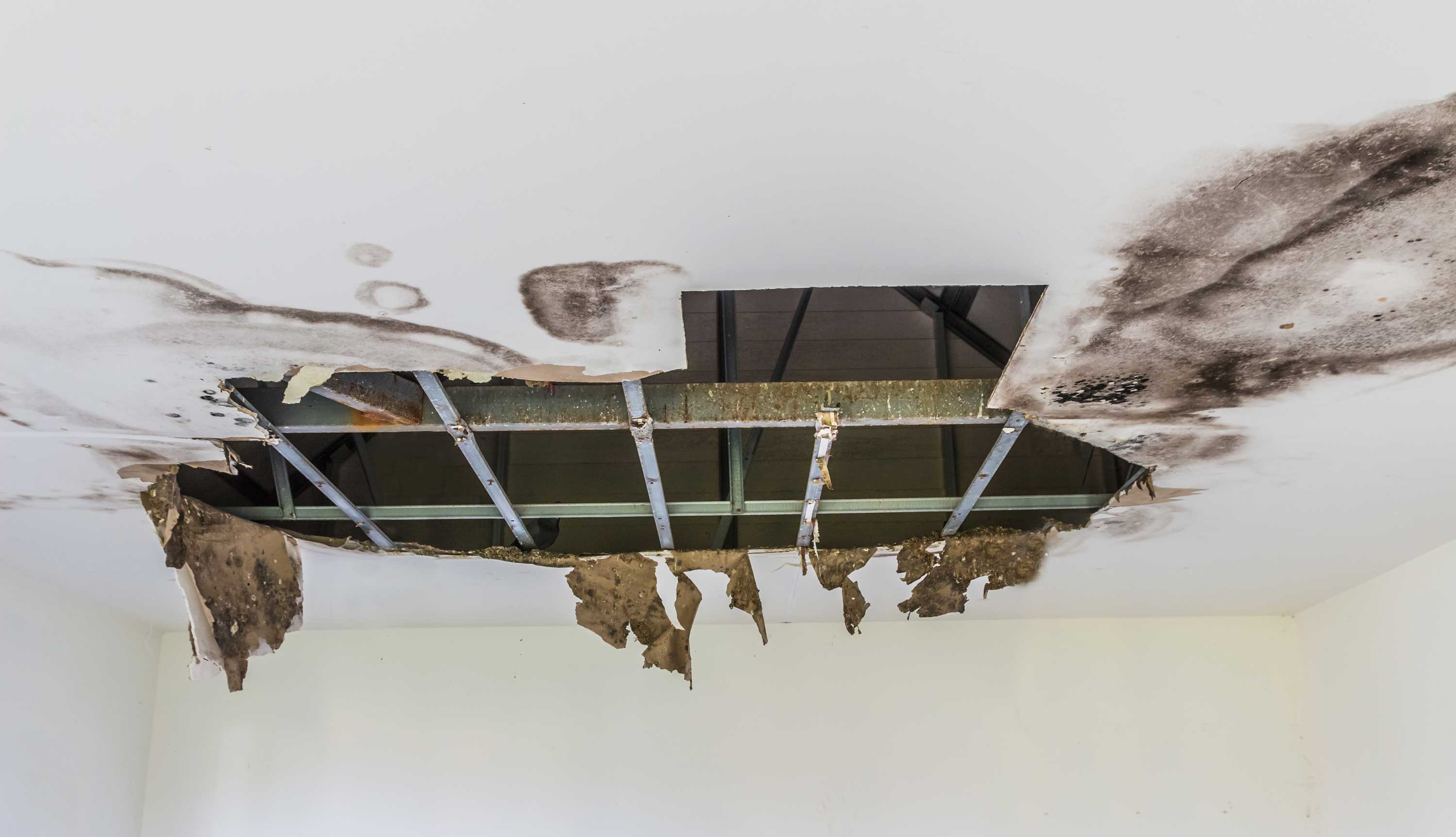 Insurance For Roofer Water Damage