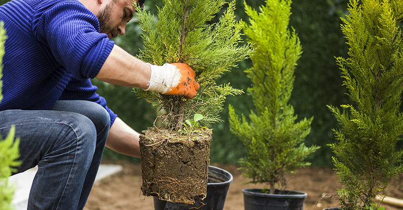 insurance-for-landscapers-canada